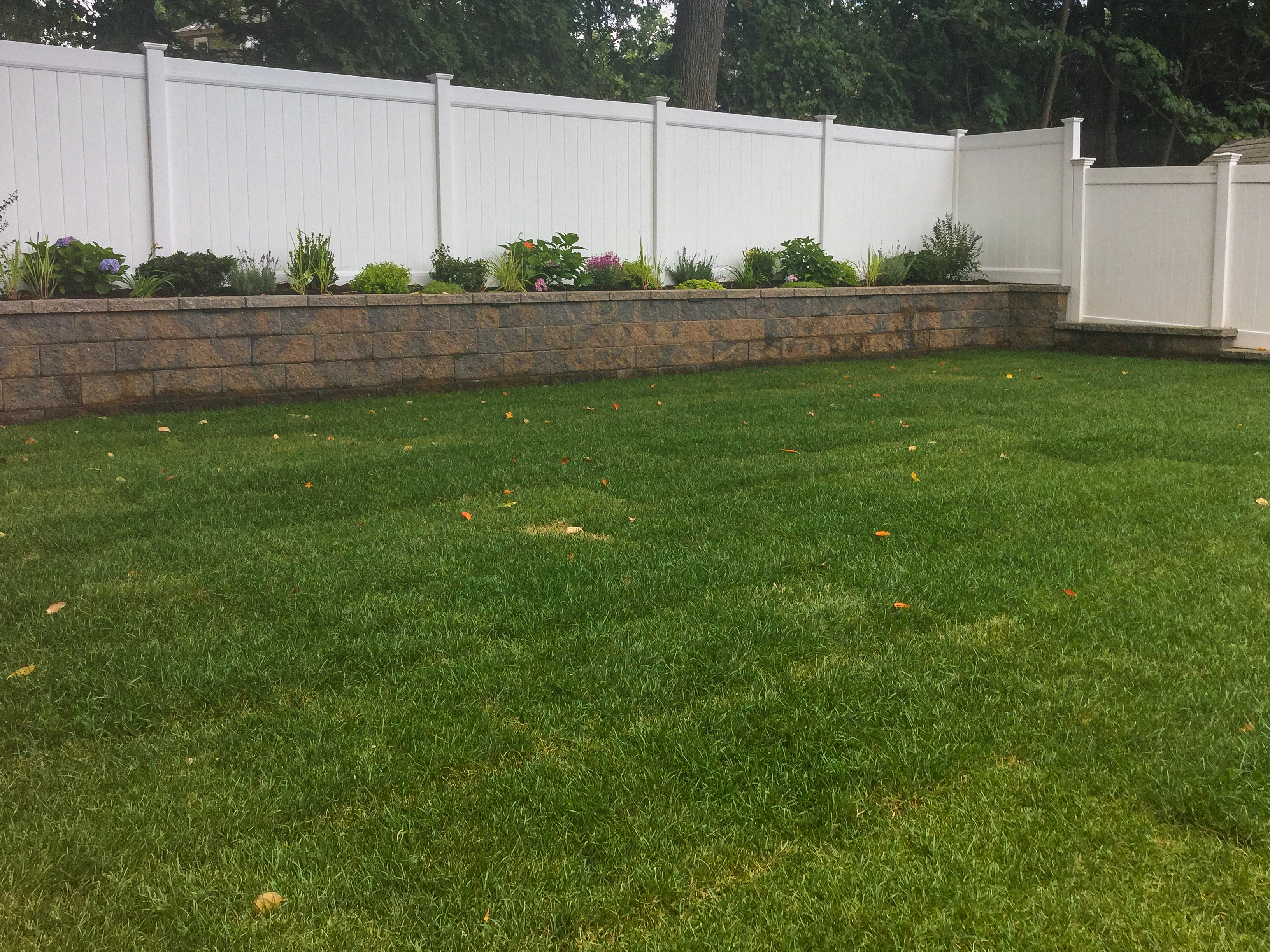 Wall