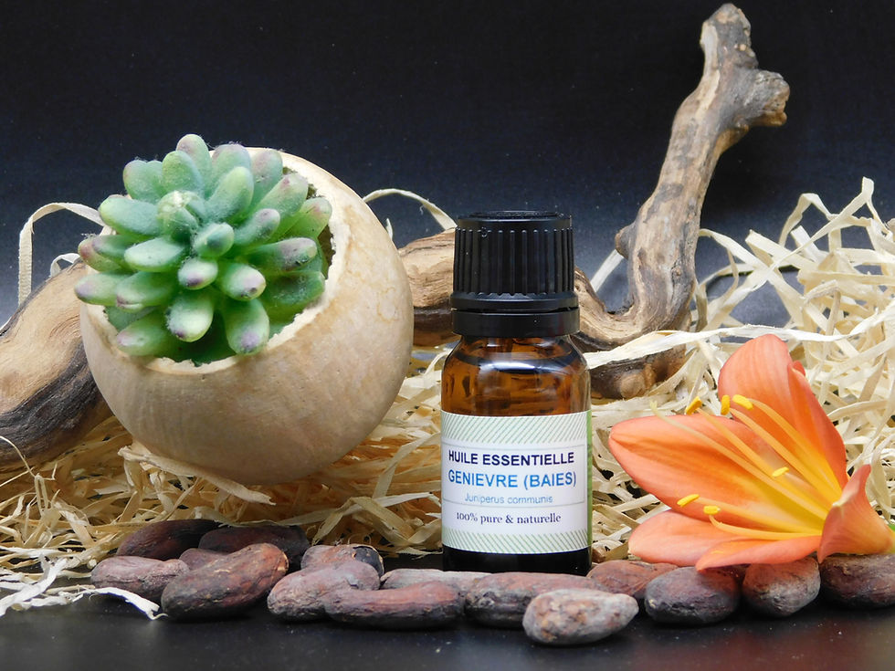 Huile essentielle de Genièvre (Baies)
