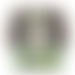 Walk on the Wild Side with Disney's Animal Kingdom