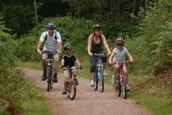 family trail 2.jpg