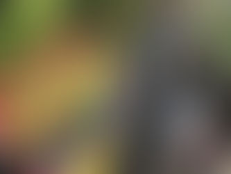 My 2019 Specialized Kenevo Expert is FOR SALE