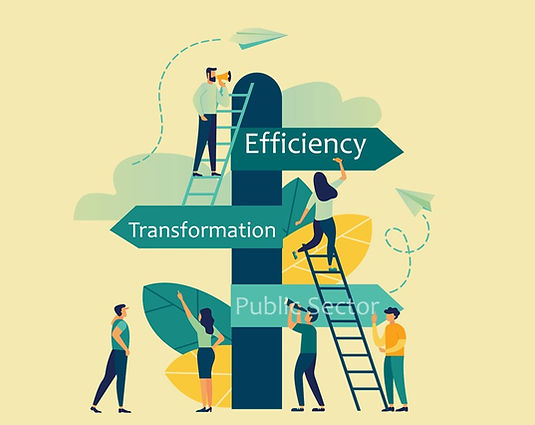Public Sector Transformation Scheme