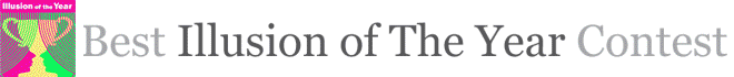 Illusion_of_the_year_2017_v.gif