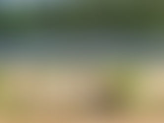 Υπό προϋποθέσεις οι επιδοτήσεις Φ/Β στο νέο κύκλο Αναπτυξιακού