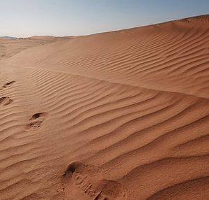 sahara3.webp