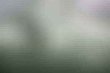 Μπορεί ένα τείχος να σώσει το Μαϊάμι από την κλιματική αλλαγή;