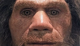 neanderthal.jpg