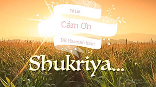 Tỏ Lời Cảm Ơn