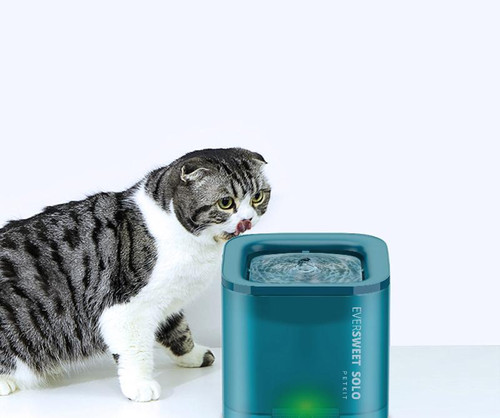 petkit drinking fountain