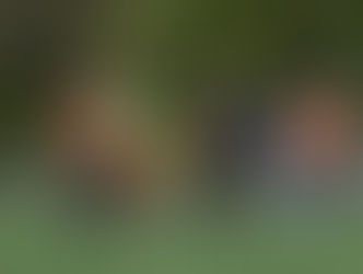 Vincent Kool, refdirect.nl scheidsrechter aan het woord