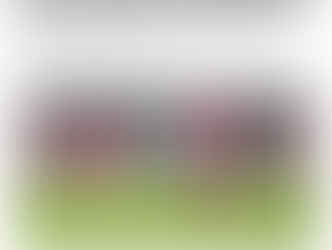 O'Cliance, Portret, SC Hoevelaken speler Joeri van den Hoeven.