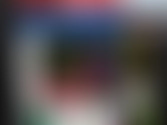 VVJ-CDW - trainer aan het woord