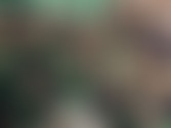 Jonathan-Everstein, trainer aan het woord