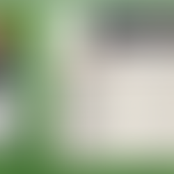 TOKO ROKO Tabakspeciaalzaak toto 15