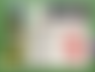 8e week, TOKO ROKO toto 8