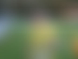 Pepijn Pappot(SDO), speler aan het woord