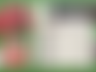 TOKO ROKO tabakspeciaalzaak toto 22