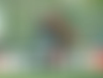 Wedstrijdverslag, Zuidvogels-CSV Apeldoorn