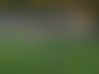 Patria-DEV Doorn, trainers aan het woord