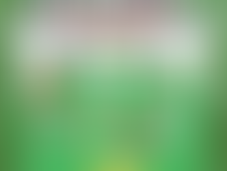 Marks facilitaire dienstverlening sterrenteam 21