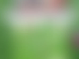 7e Marks facilitaire dienstverlening sterrenteam