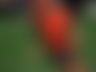 Rowan Vogelzang(DESTO), speler aan het woord