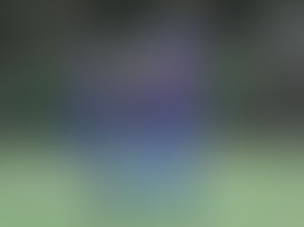 De Vecht-SC 't Gooi, trainers aan het woord