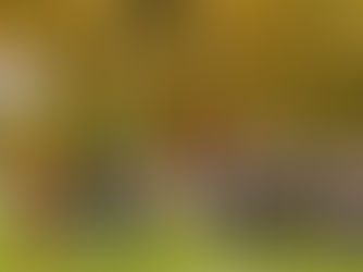 Parkhout-SV Zeist, trainers aan het woord