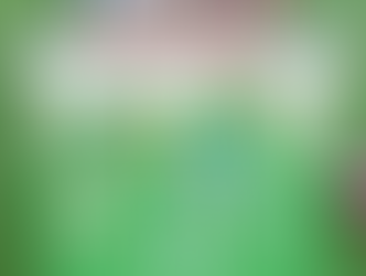 Marks facilitaire dienstverlening sterrenteam 20