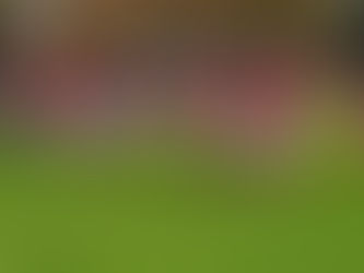 De Posthoorn-OW Elst, trainers aan het woord.