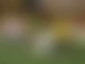 Ameide-Odijk, trainer aan het woord