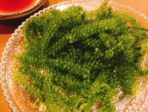 海ぶどう