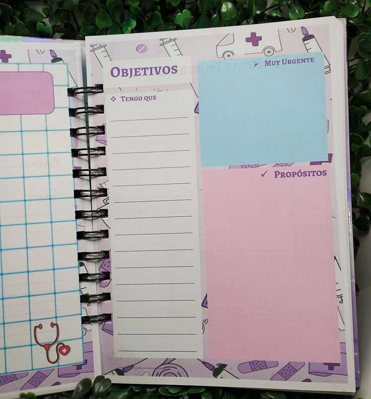 Miniatura: AGENDA TENS
