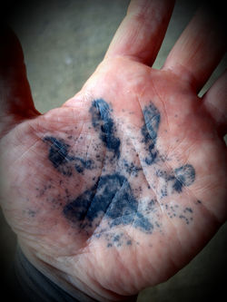 Healed Palm Tattoo