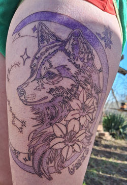 Husky Umka
