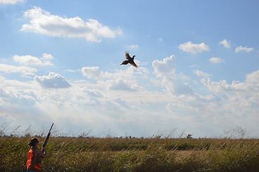 Pheasant Club Northern California