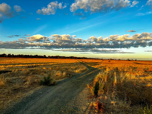 Garcia's Hunting Preserves.JPG