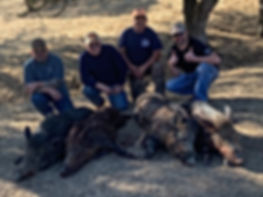 wild pig hunting california