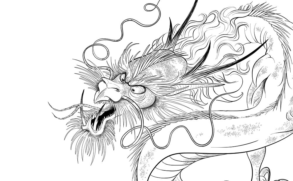 Ilustração Dragão Chines em vetor