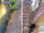 Gutter before and after cleaning by Brinkman Cleaning