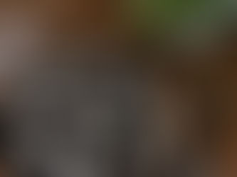 פשטידת בצלים וגבינות