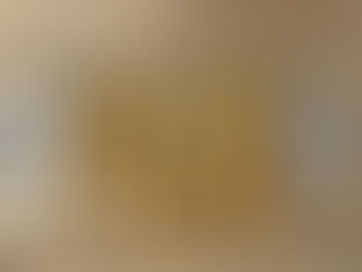 סלמון בשני קראסטים: