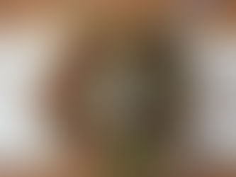 סלט קינואה צבעוני