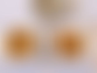 שווארמה צמחונית - טבעונית ובשרית