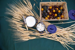 מתכוני חגים