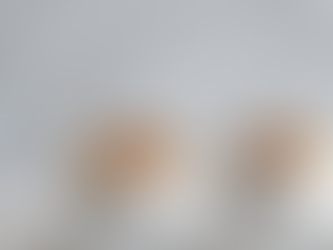 צ׳יה פודינג ללא פחמימות