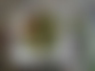 סלט פסטה וירקות ברוטב בזיל