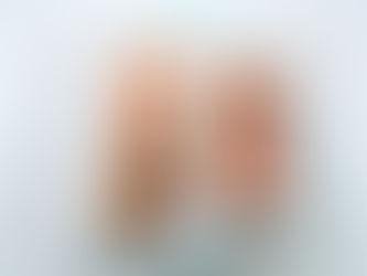 עוגה בחושה עם פירות מיובשים ושוקולד