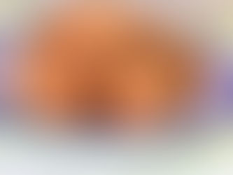 קציצות סלמון ברוטב יוגורט