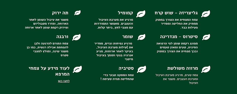 תמונה ממוזערת: מארז מיוחד - מדריך "אל תהיו מיובשים" עם קיט צמחי מרפא להרזיה